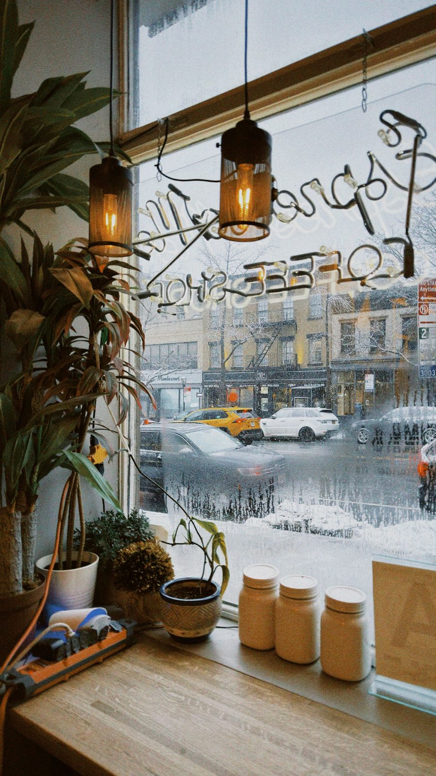 Cozy cafe window with plants